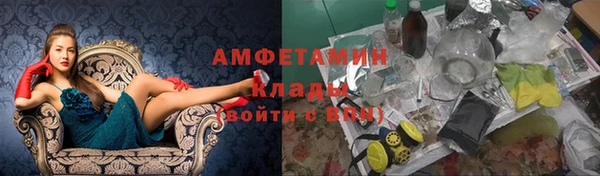 прущие грибы Балабаново