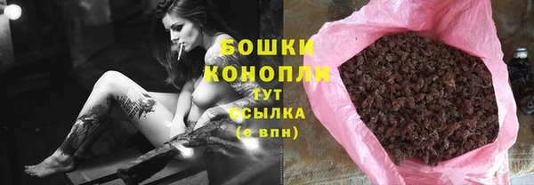 прущие грибы Балабаново
