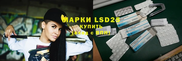 прущие грибы Балабаново