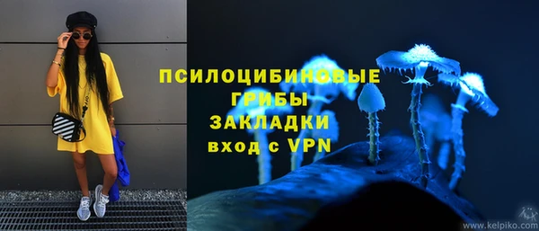 прущие грибы Балабаново