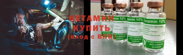 прущие грибы Балабаново