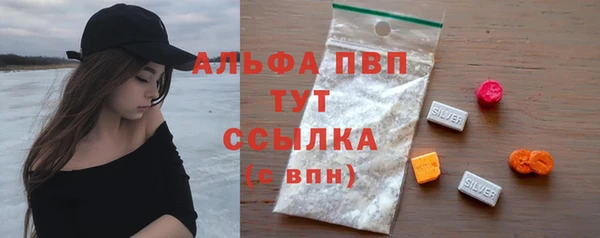 прущие грибы Балабаново
