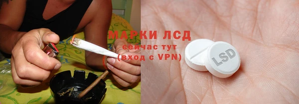 прущие грибы Балабаново