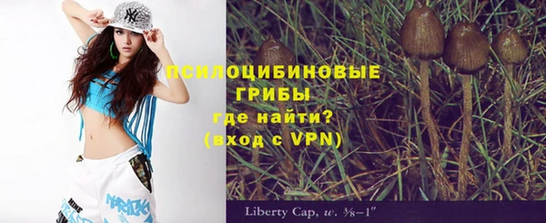прущие грибы Балабаново