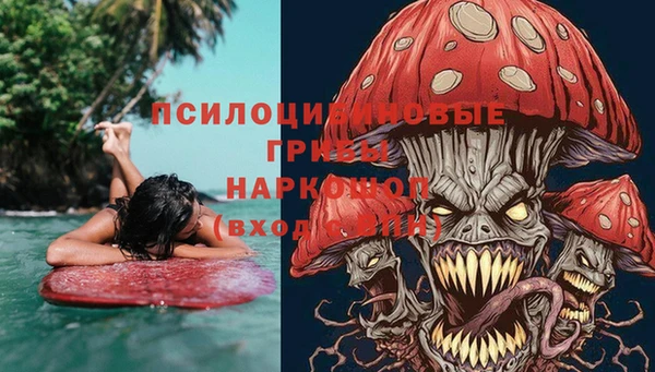 прущие грибы Балабаново