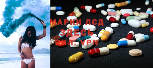 прущие грибы Балабаново