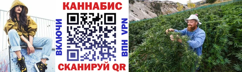 Каннабис MAZAR  Новоаннинский 
